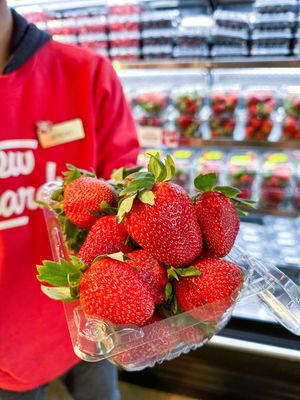 Image post by @stewleonards on Instagram