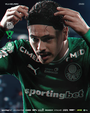 Image post by @palmeiras on Instagram