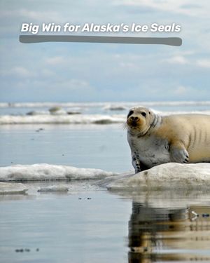 Image post by @centerforbiodiv on Instagram
