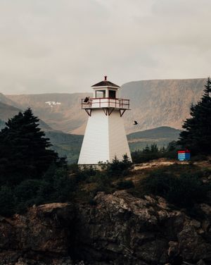 Image post by @coltonnhall on Instagram