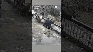 Video post by @accuweather on YouTube
