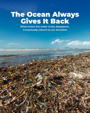 Image post by @4ocean on Instagram