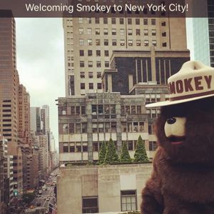 Image post by @smokeybear on Instagram