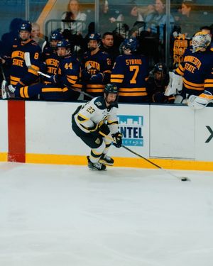 Image post by @merrimack_mih on Instagram