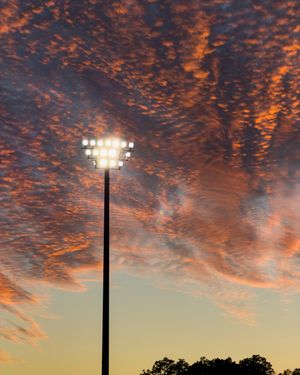 Image post by @domsilva on Instagram