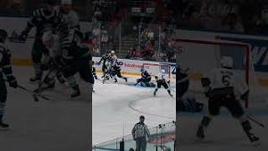 Video post by @flohockey on YouTube