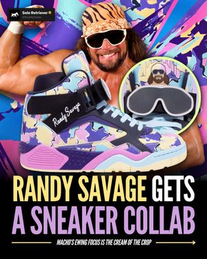 Image post by @soleretriever on Instagram