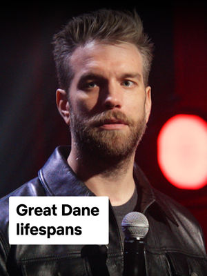 Video post by @netflixisajoke on TikTok