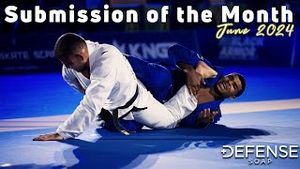 Video post by @flograppling on YouTube