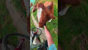 Video post by @dji on YouTube