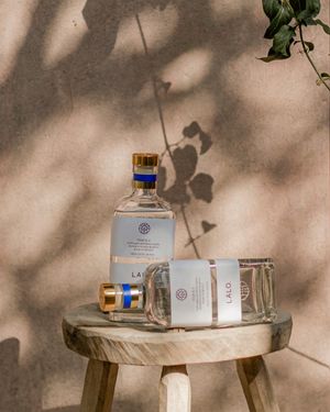 Image post by @lalospirits on Instagram
