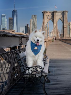 Image post by @littlebearlumi on Instagram