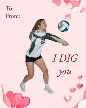 Image post by @csuvolleyball on Instagram