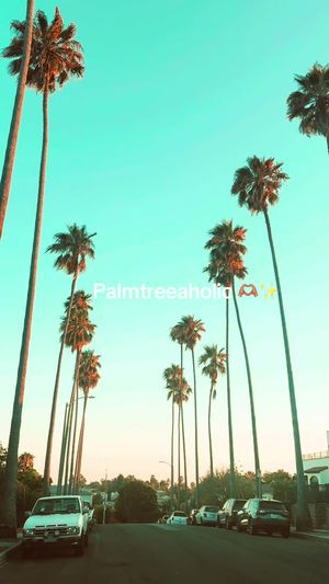 Video post by @itsanlathing on TikTok
