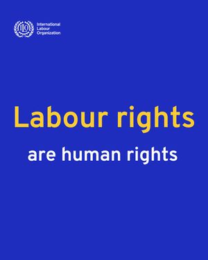Image post by @unitednations on Instagram