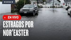 Video post by @univisionnuevayork on YouTube
