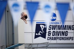 Image post by @aggieswimdive on Instagram