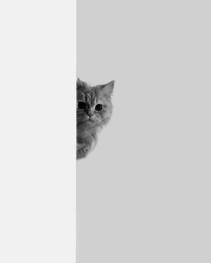 Image post by @fubiz on Instagram