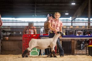 Image post by @redrivervalleyfair on Instagram