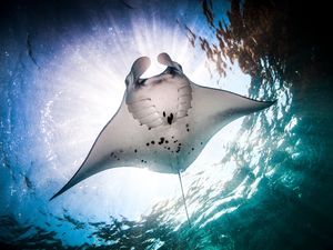 Image post by @discovery on Instagram