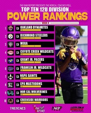 Image post by @the_rawreport on Instagram