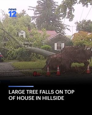 Image post by @news12nj on Instagram
