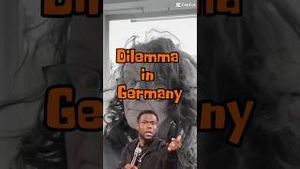 Video post by @dogsthat on YouTube
