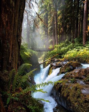 Image post by @nationalparkscollective on Instagram