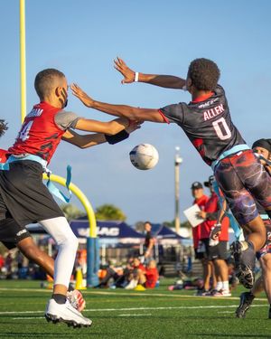 Image post by @nflflag on Instagram