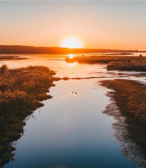 Image post by @kyle_petersen21 on Instagram