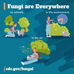 Image post by @mnhealth on Facebook