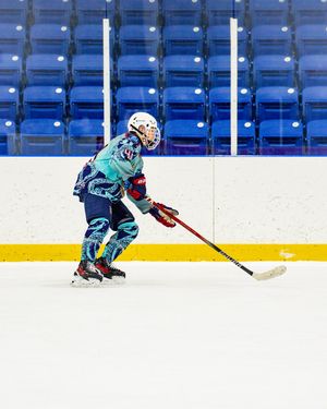 Image post by @placeofpuck on Instagram