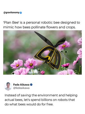 Image post by @gravitonomy on Instagram