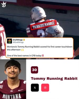 Video post by @draftkings on TikTok