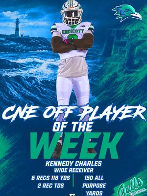 Image post by @endicottfootball on Instagram