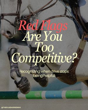 Image post by @theplaidhorsemag on Instagram