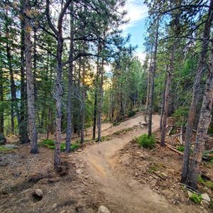 Image post by @blackdiamond_traildesigns on Instagram