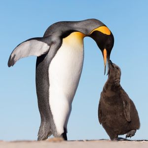 Image post by @bbcearth on Instagram