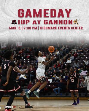 Image post by @iupmbb on Instagram