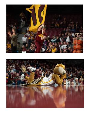 Image post by @gopherspiritsquad on Instagram