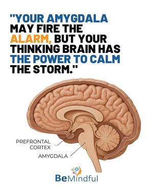 Image post by @Bemindful.us.org on Facebook