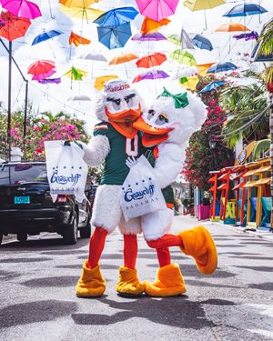 Image post by @um_sebastian on Instagram
