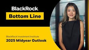 Video post by @blackrock on YouTube