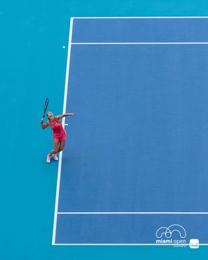 Image post by @miamiopen on Instagram