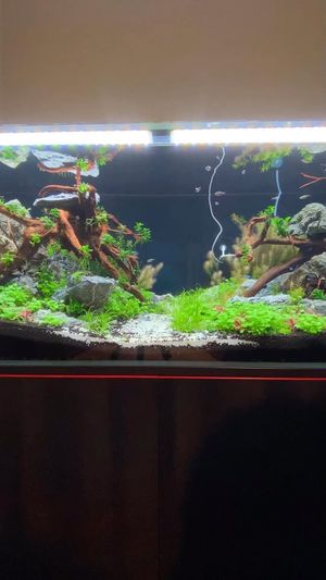 Video post by @aqualupi on Instagram
