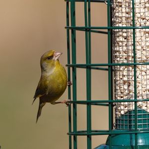 Image post by @rspb on Instagram