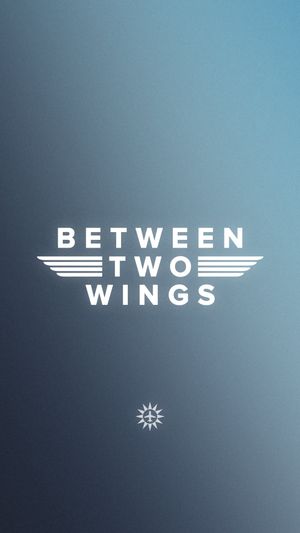 Video post by @foreflight on Facebook