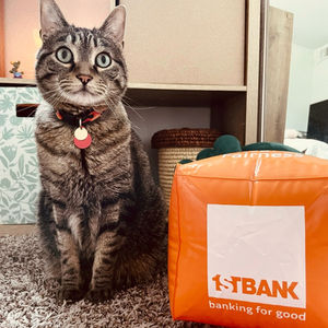 Image post by @efirstbank on Instagram