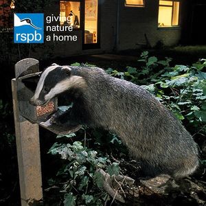 Image post by @rspb on Instagram