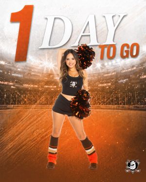 Image post by @anaheimduckspowerplayers on Instagram